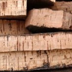 Lusobel_thumb_2415476104